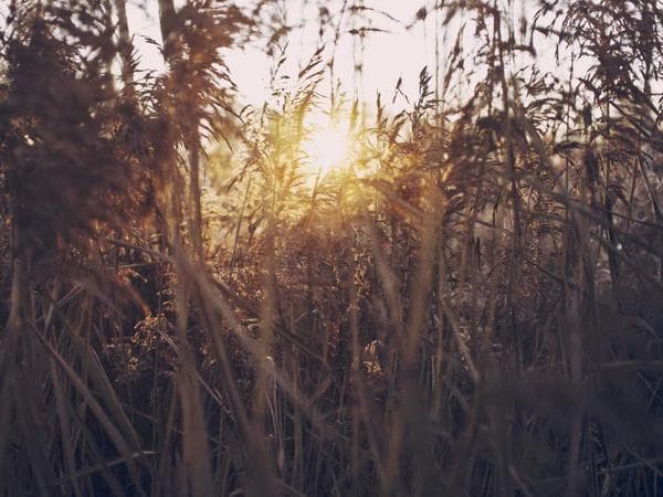 Interface do aplicativo Bloppay em um smartphone, mostrando o painel de controle